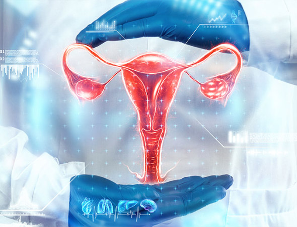 Gynaecology Services